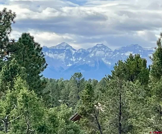 a view of a city with lush green forest