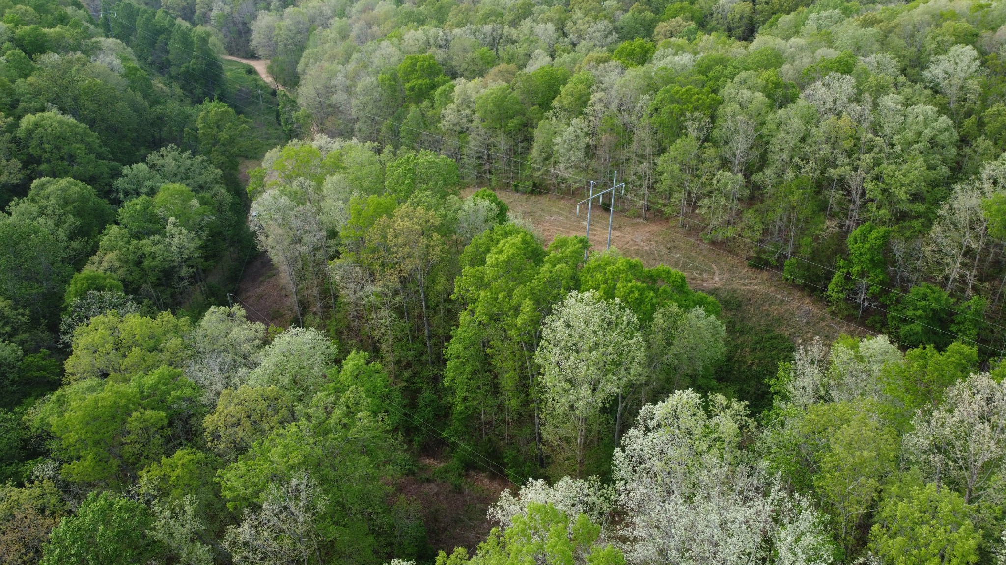 455 Moss Spring Hollow Road Centerville, TN 37033 - Photo 9 of 13 an aerial view of residential house with outdoor space and trees all around