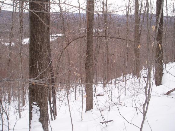 0 Greenwoods Road Sumner, ME 04292 - Photo 1 of 1