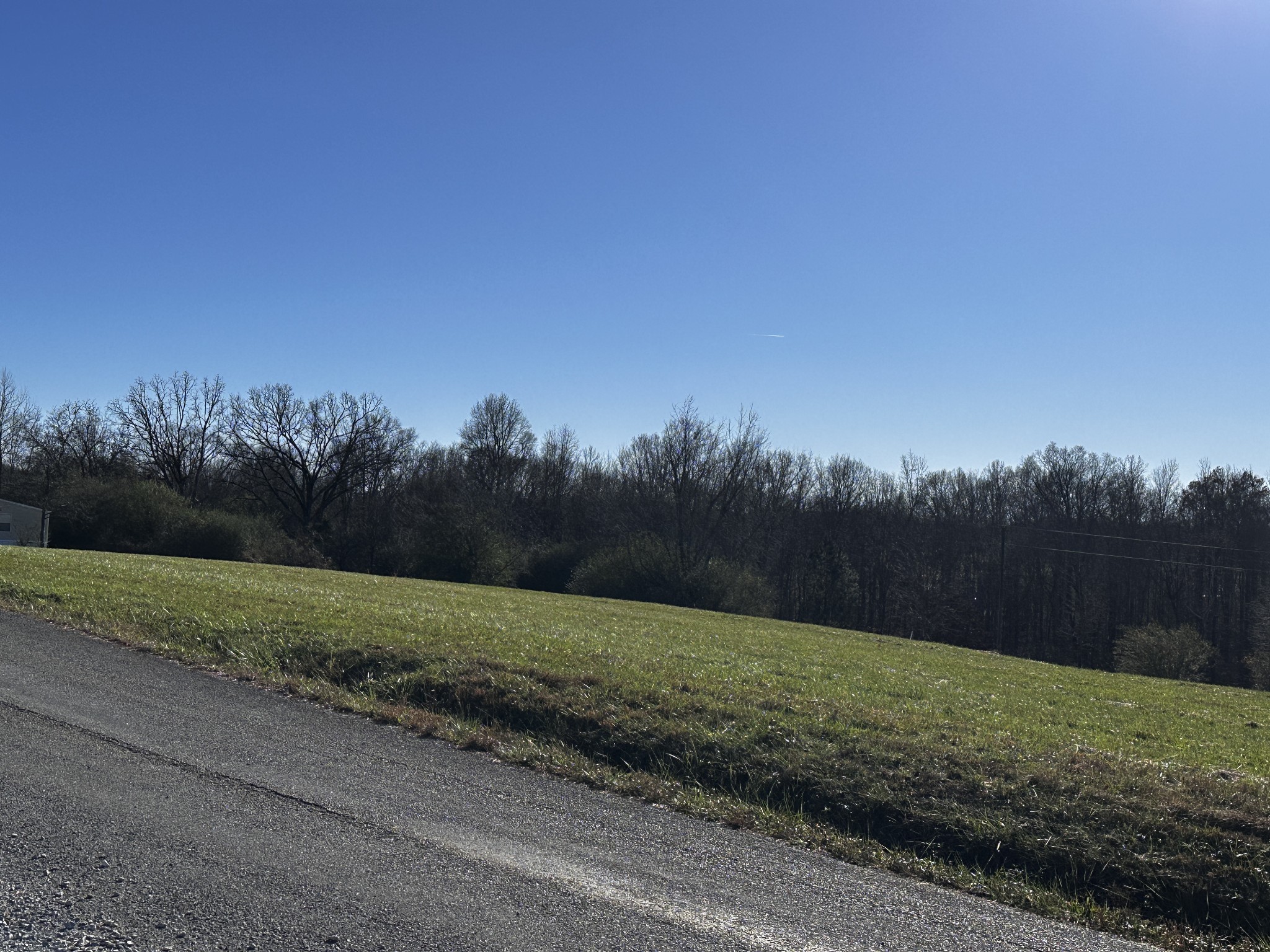 89 South Bradley Road Leoma, TN 38468 - Photo 3 of 3 a view of a grassy field