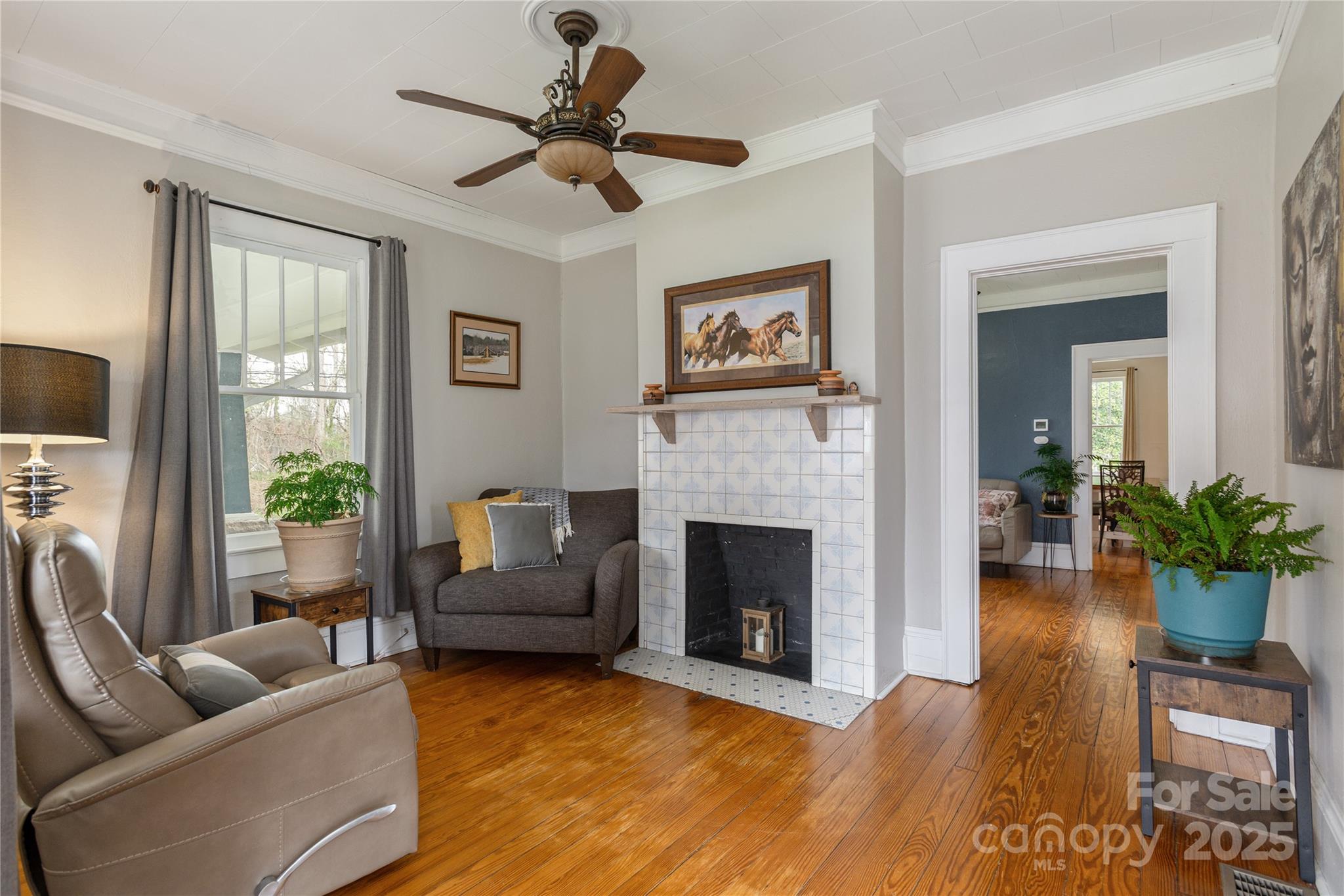 506 West Blue Ridge Road East Flat Rock, NC 28726 - Photo 4 of 23