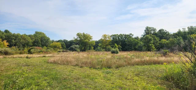a view of a lake with trees in the background