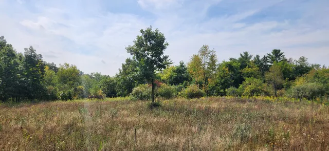 a view of empty yard with trees