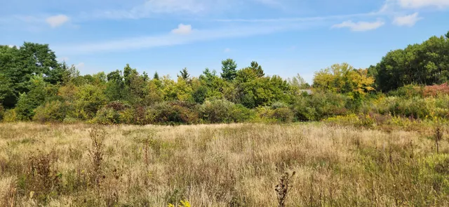 a view of a lake view