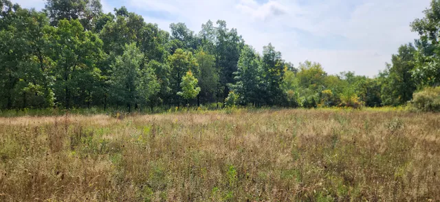a view of a lake with mountain view