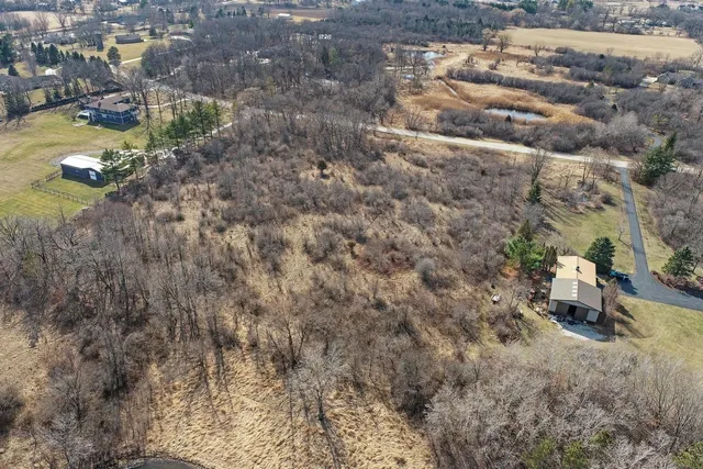 a view of a yard with trees