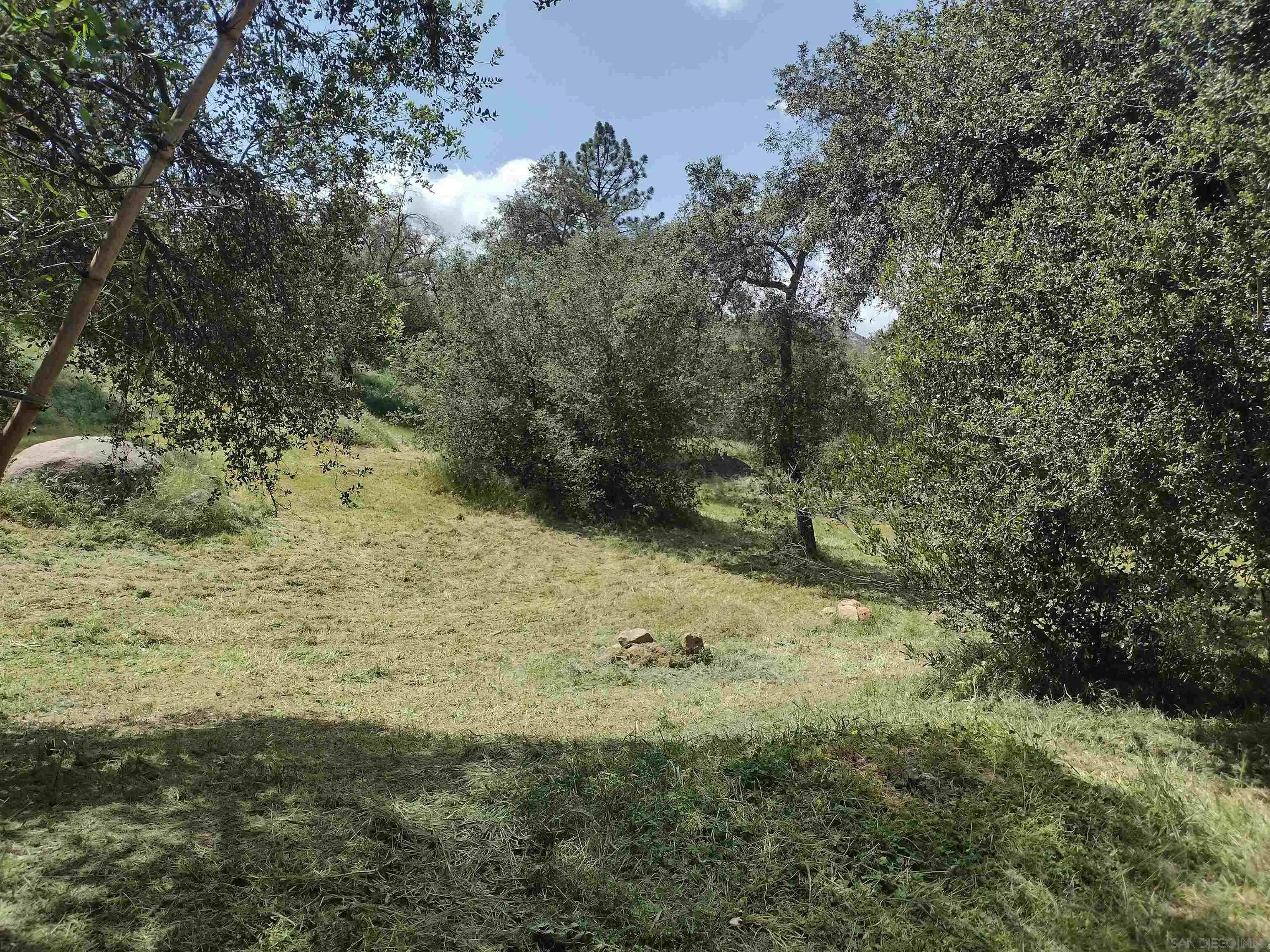 17661 Lyons Valley Road Jamul, CA 91935 - Photo 23 of 50 a view of a yard with a tree