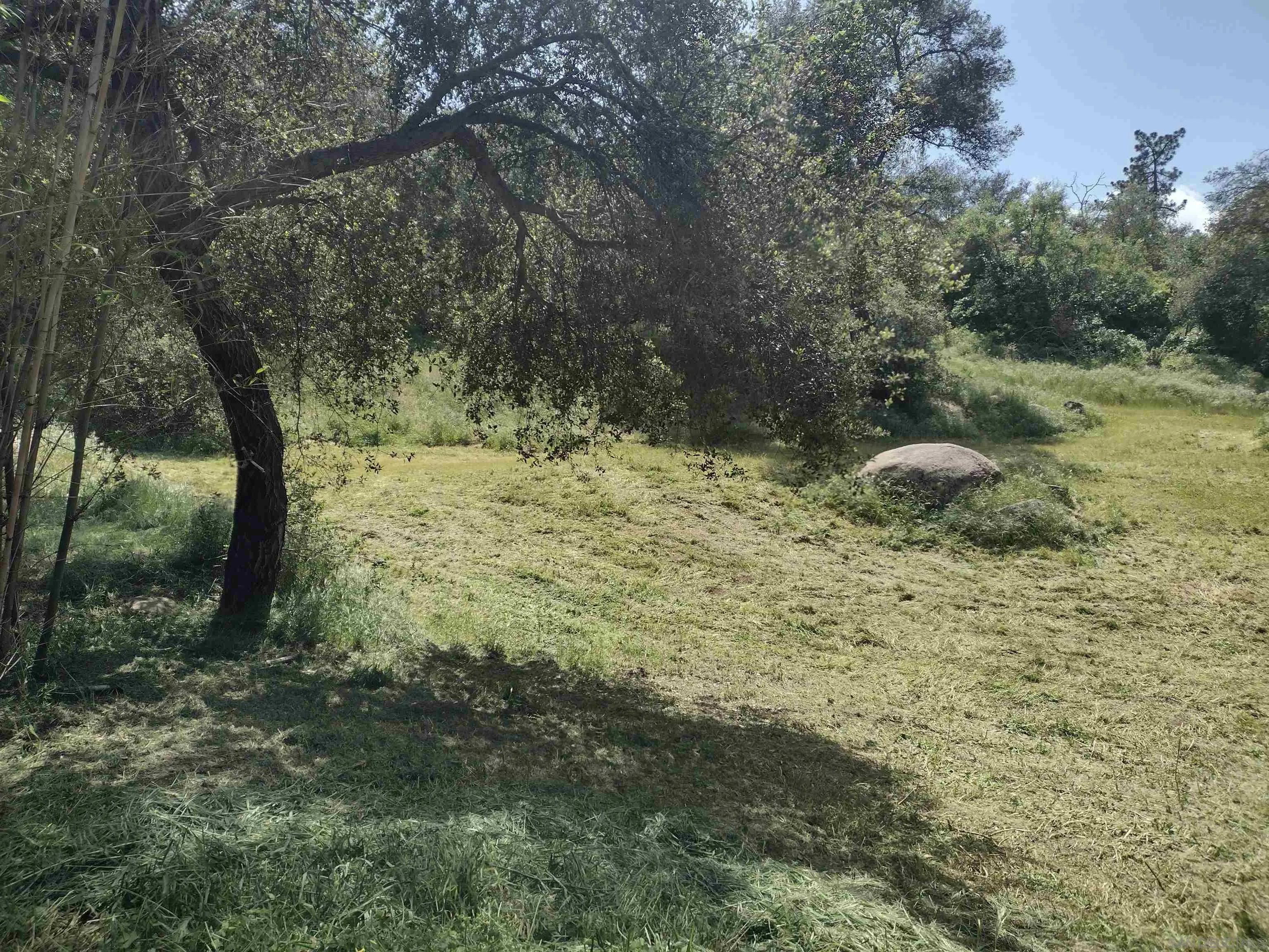 17661 Lyons Valley Road Jamul, CA 91935 - Photo 24 of 50 a view of a yard with a tree