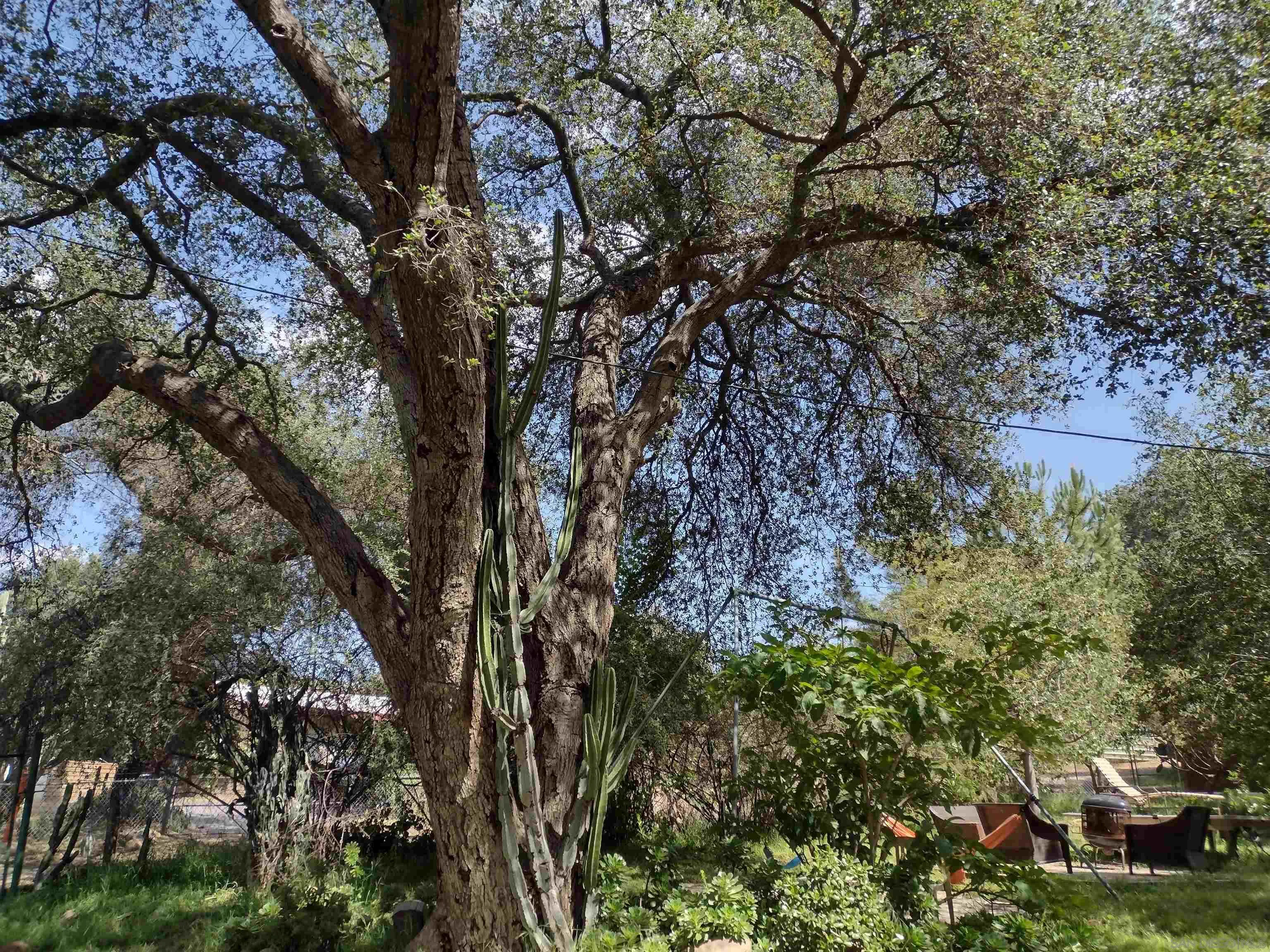 17661 Lyons Valley Road Jamul, CA 91935 - Photo 4 of 50