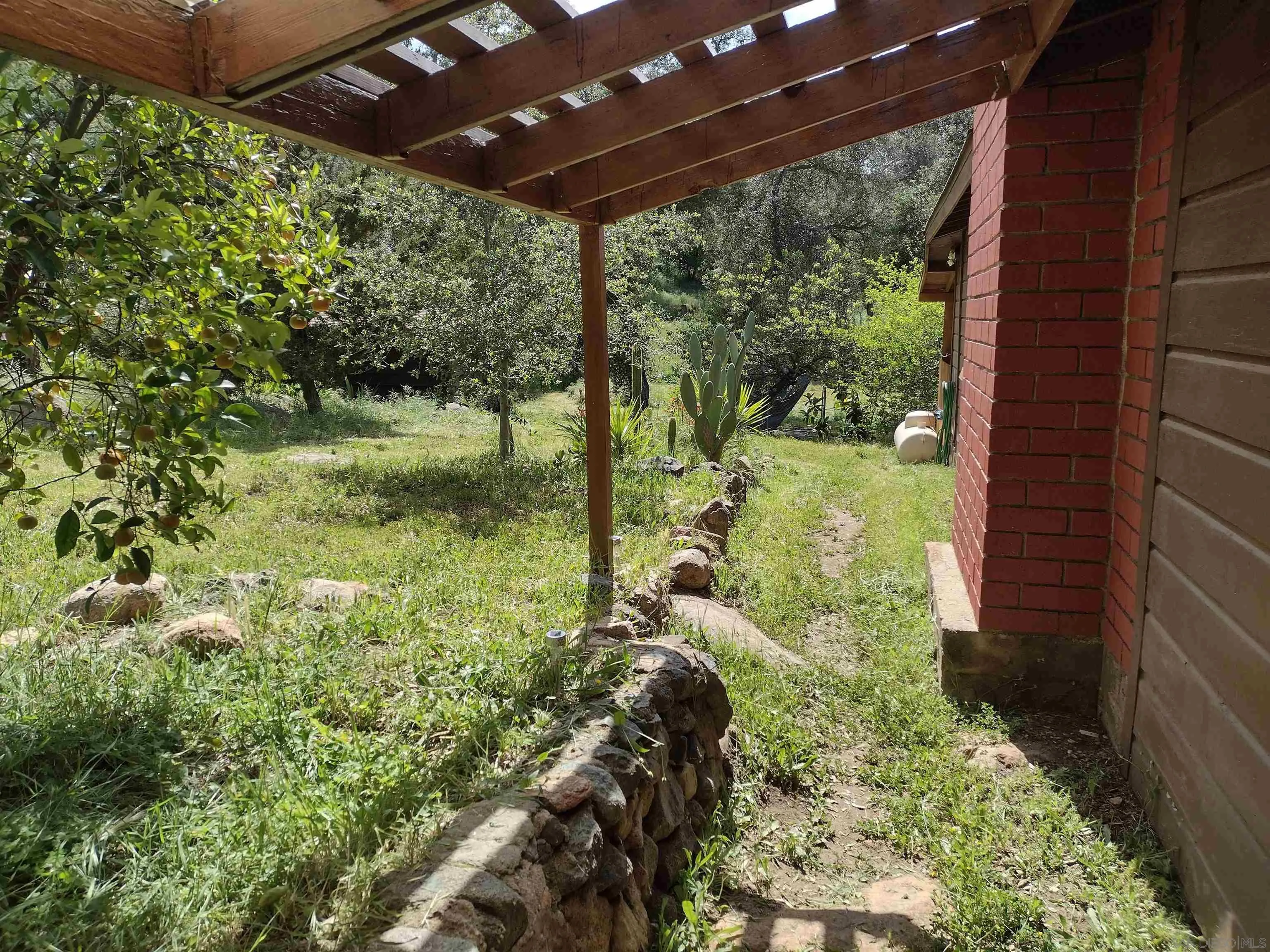17661 Lyons Valley Road Jamul, CA 91935 - Photo 45 of 50 a view of a yard with plants and large tree