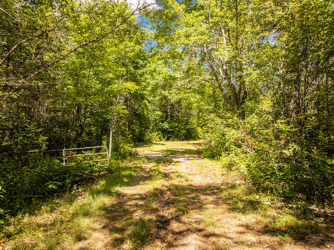 Lot 2 Aldus Shores Road Searsmont, ME 04973 - Photo 12 of 14
