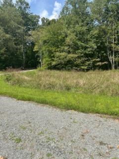 Tr 1-rev Burch Cove Road Hayesville, NC 28904 - Photo 5 of 6 a view of a yard with a tree