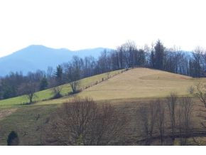 0 Swift Hollow Road Mountain City, TN 37683 - Photo 1 of 11 PROPERTY WITH VIEWS