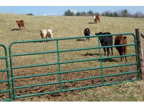 0 Swift Hollow Road Mountain City, TN 37683 - Photo 11 of 11 PRIVATE GATE