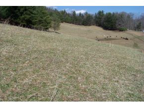 0 Swift Hollow Road Mountain City, TN 37683 - Photo 5 of 11 ROLLINGSLOPING LAND