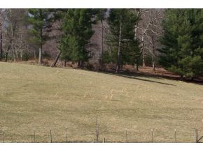 0 Swift Hollow Road Mountain City, TN 37683 - Photo 6 of 11 LEVEL LAND