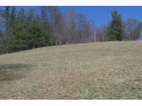 0 Swift Hollow Road Mountain City, TN 37683 - Photo 7 of 11 FULLY FENCED PROPERTY