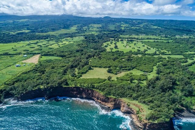a view of a green field with lots of bushes