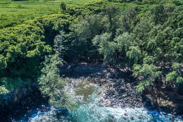 a view of a large yard with lots of green space