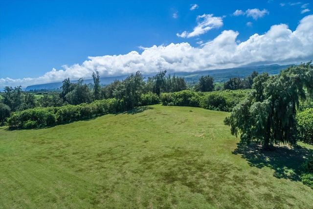 a view of a garden with large trees