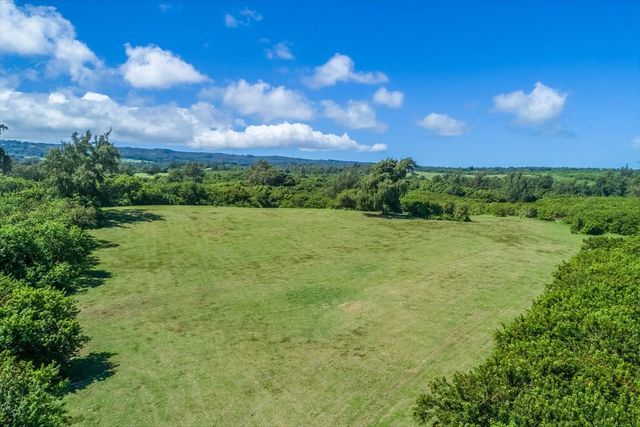 a view of a green field