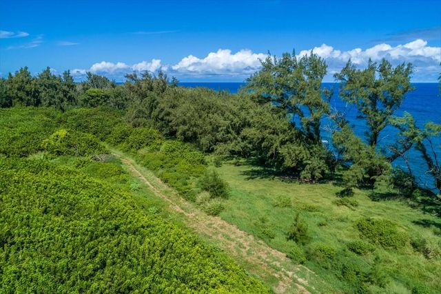 a view of a flower in a garden