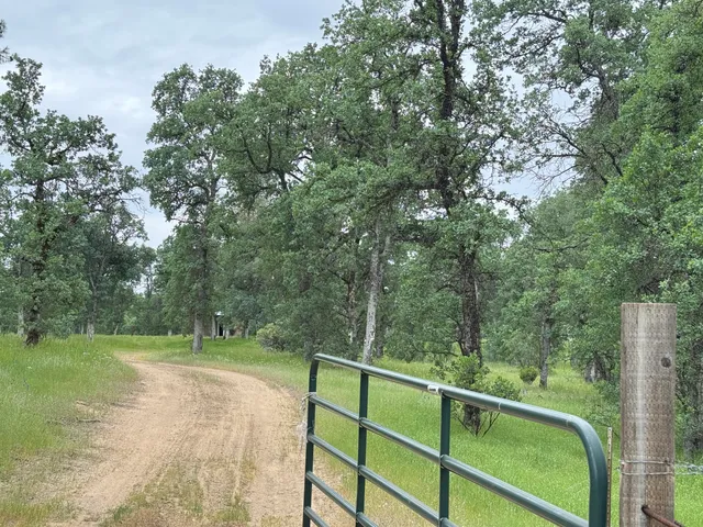 a view of a green field with trees in the background