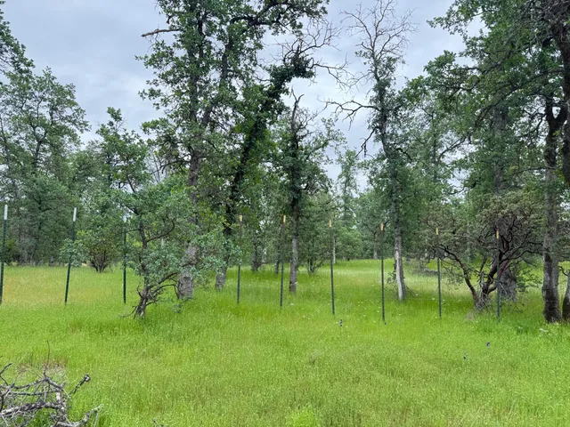 a view of grassy field