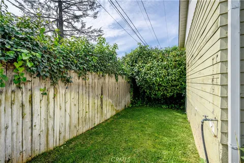 a view of a backyard with plants