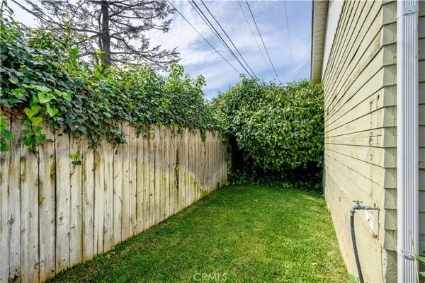 a view of a backyard with plants