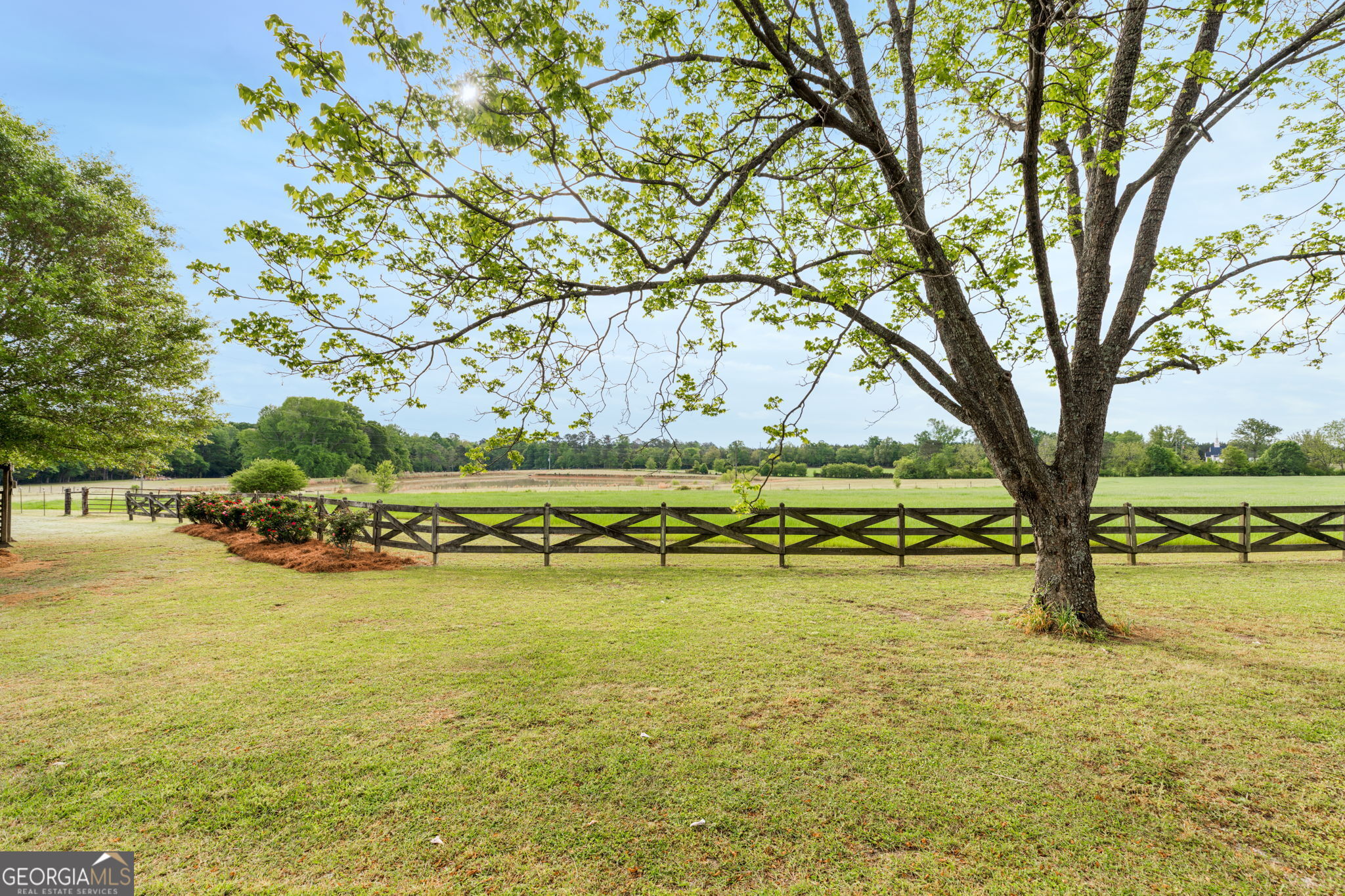 2705 Piney Mt Road Tennille, GA 31089 - Photo 6 of 57