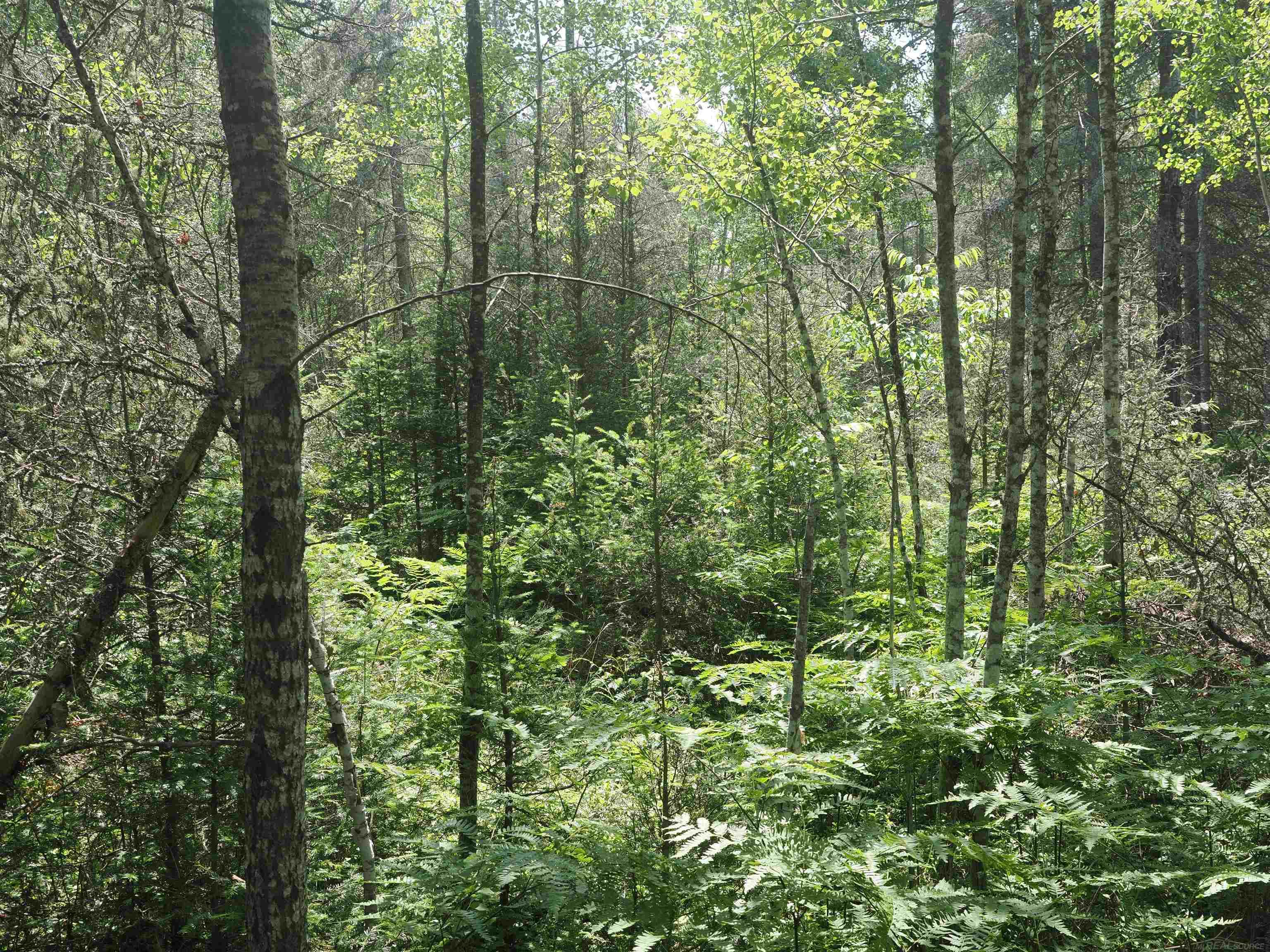 0 County Road Ishpeming, MI 49849 - Photo 44 of 85