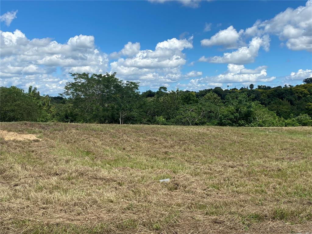 Starr Ridge Loop Lake Lake Wales, FL 33898 - Photo 1 of 1 a view of a dry yard
