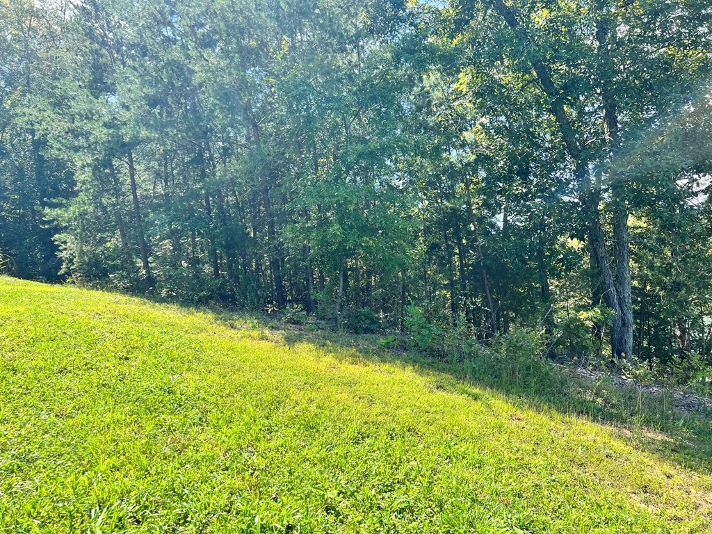 232425 Scott Street Sevierville, TN 37876 - Photo 8 of 34