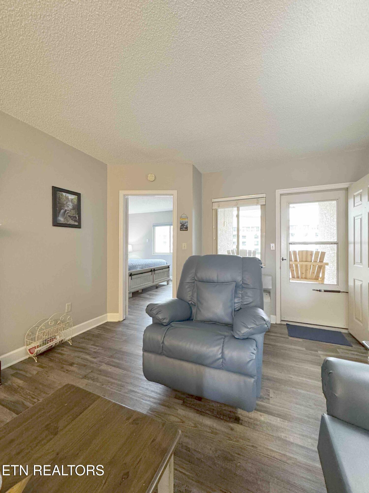 3215 North River Road, Unit STE 307 Pigeon Forge, TN 37863 - Photo 13 of 49 LivRm4