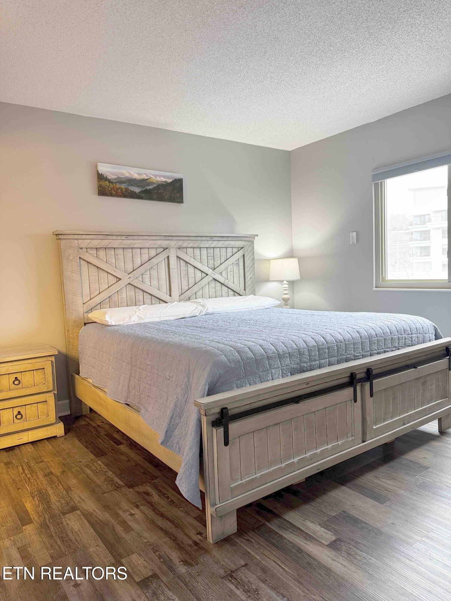 3215 North River Road, Unit STE 307 Pigeon Forge, TN 37863 - Photo 15 of 49 MBdRm3