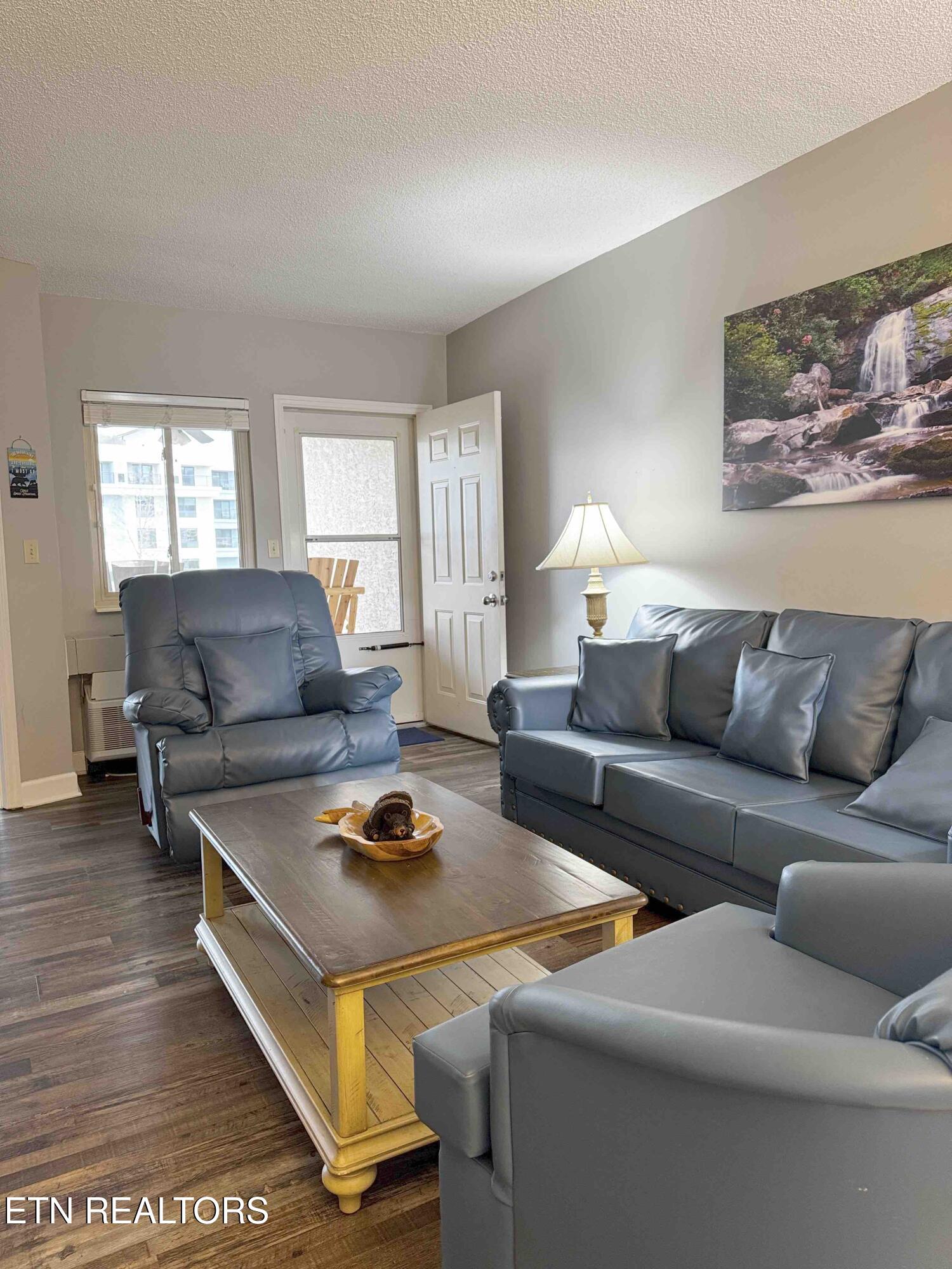 3215 North River Road, Unit STE 307 Pigeon Forge, TN 37863 - Photo 2 of 49 LivRm6