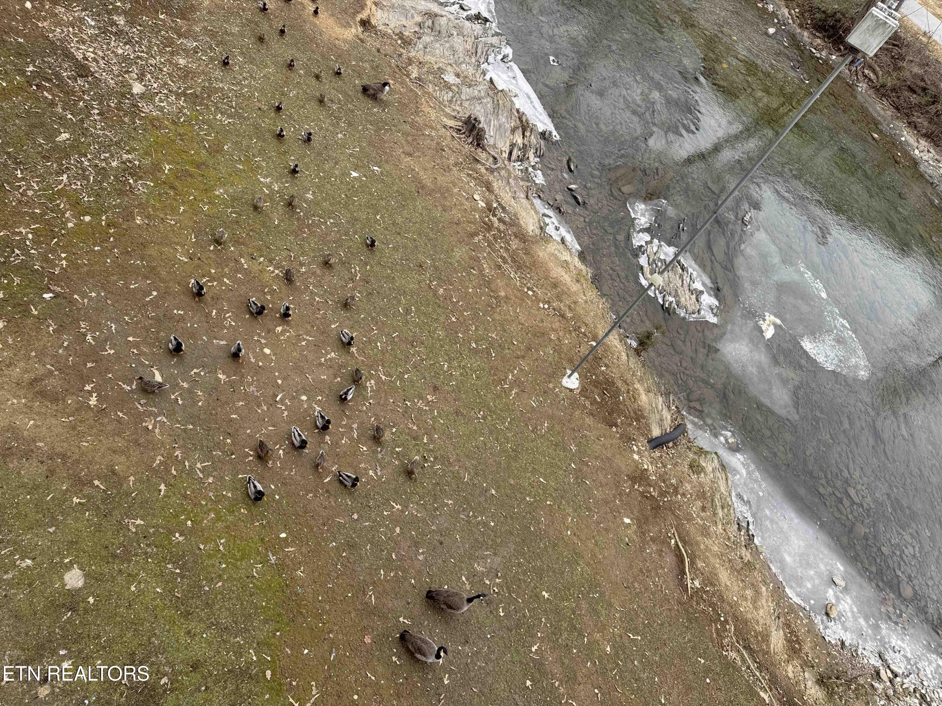 3215 North River Road, Unit STE 307 Pigeon Forge, TN 37863 - Photo 49 of 49 BalconView2