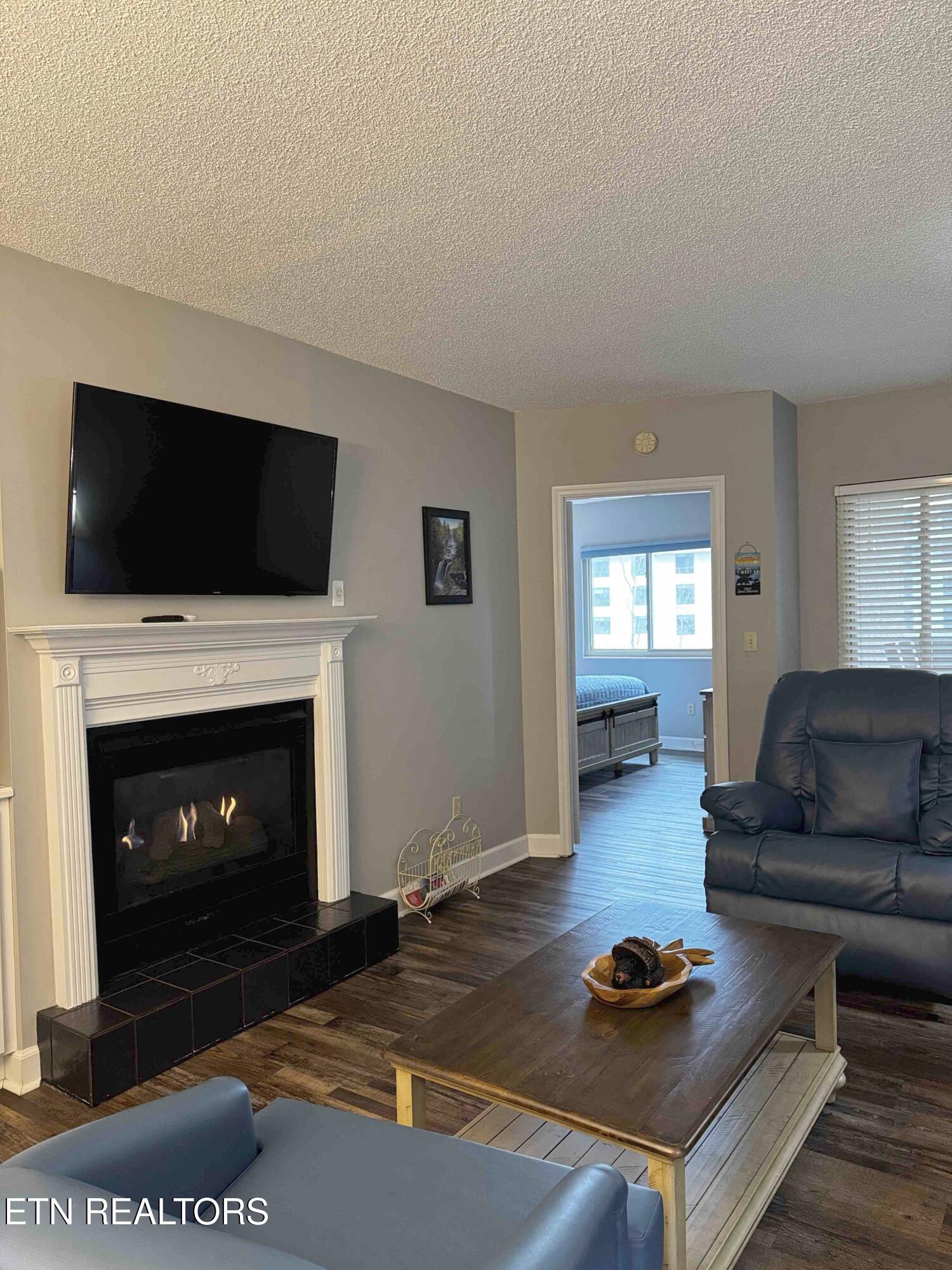 3215 North River Road, Unit STE 307 Pigeon Forge, TN 37863 - Photo 5 of 49 Living Rm