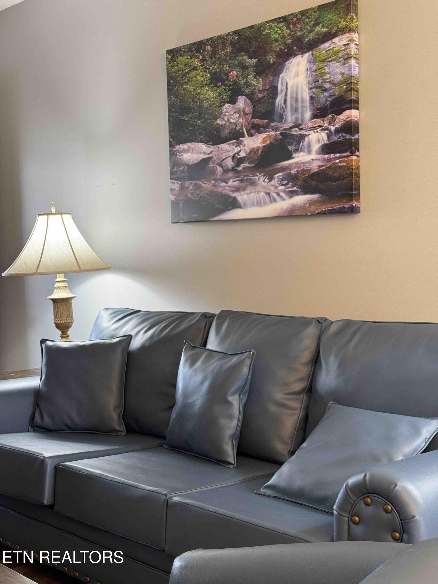 3215 North River Road, Unit STE 307 Pigeon Forge, TN 37863 - Photo 9 of 49 Sofa