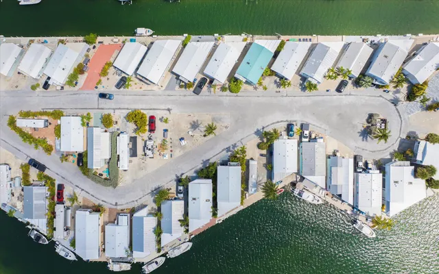 a row of palm trees sitting in front of house