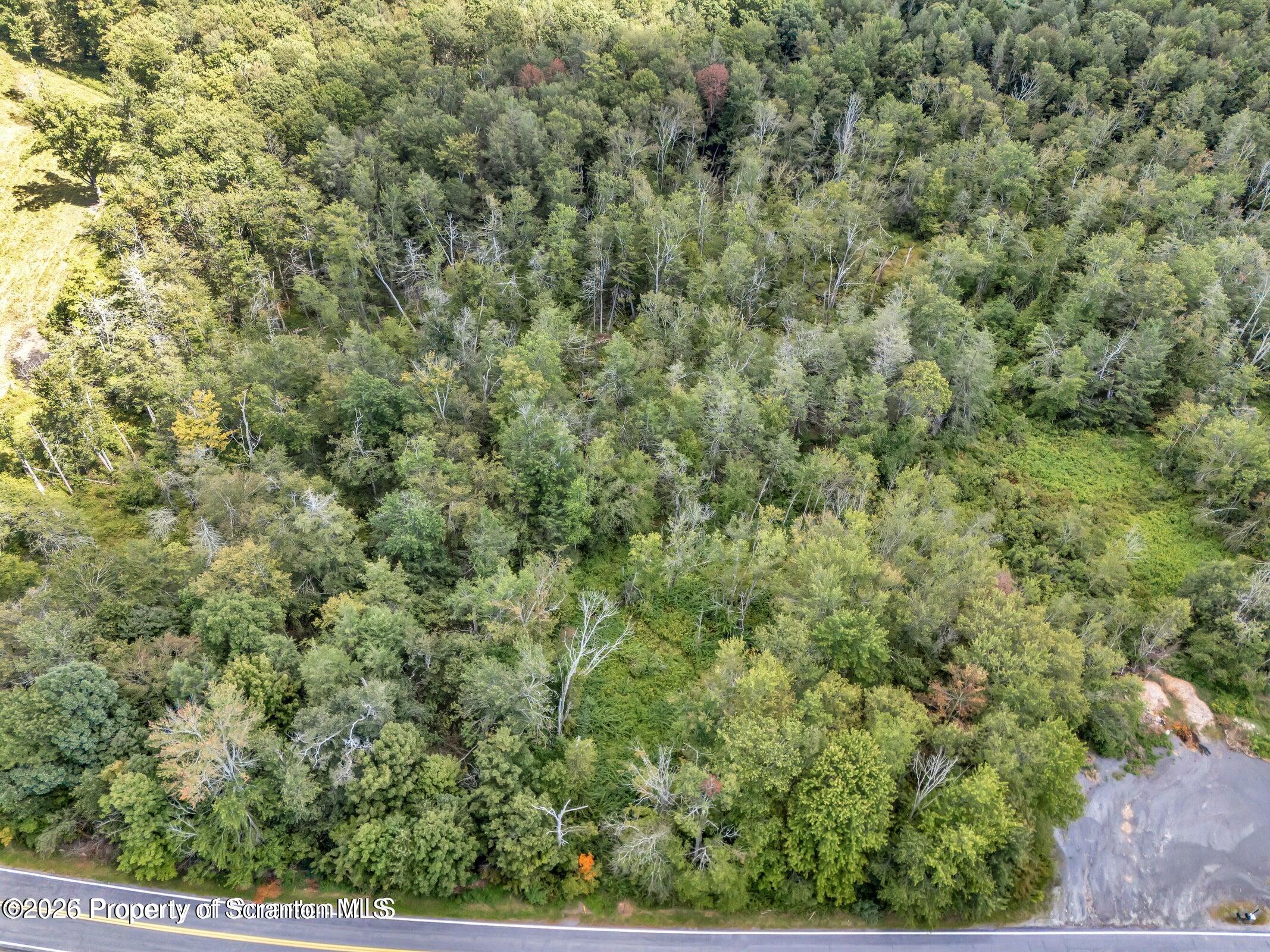 a view of a field of grass and trees