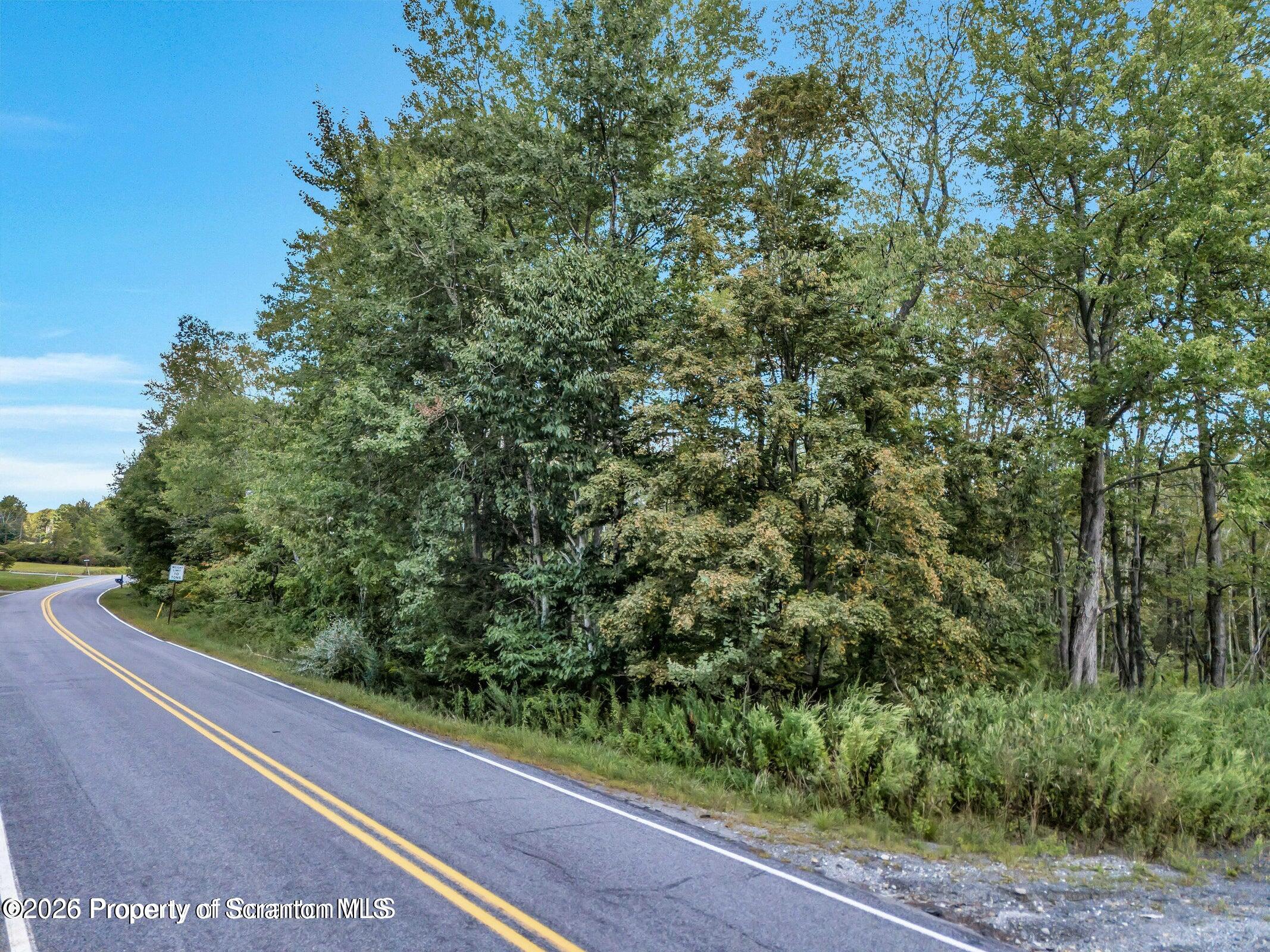 Wesser Rd Spring Brook Moscow, PA 18444 - Photo 4 of 6