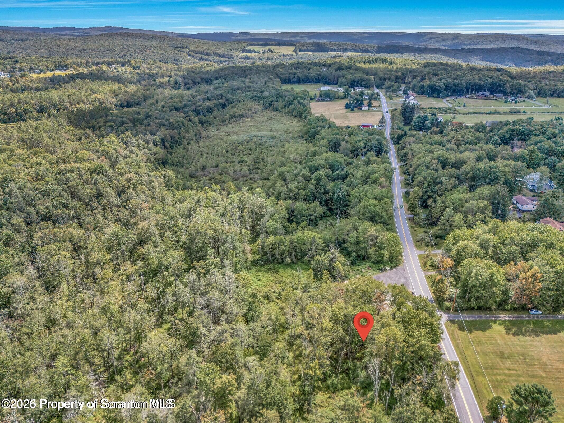 Wesser Rd Spring Brook Moscow, PA 18444 - Photo 5 of 6 a view of a lush green forest with lots of trees