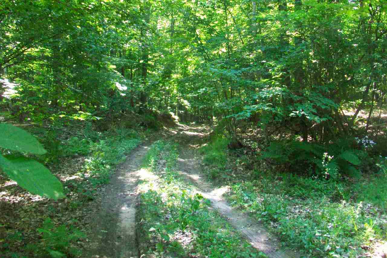 0 County Rd II Hatley, WI 54440 - Photo 1 of 1