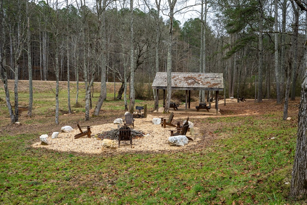 Lot 5 Blalock Mountain Road Talking Rock, GA 30175 - Photo 6 of 22
