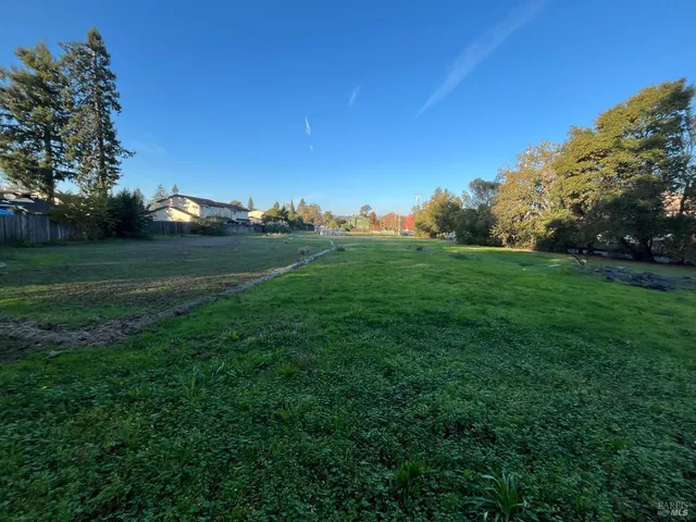 a view of a field of grass and trees