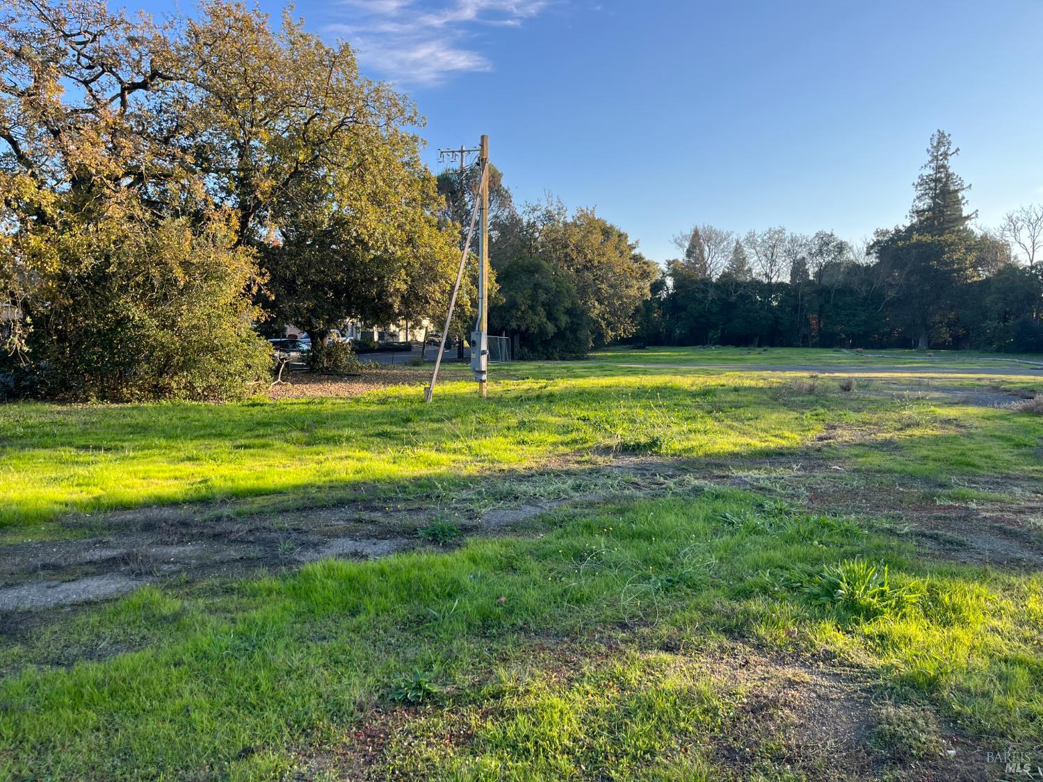 1055 Wright Street Santa Rosa, CA 95404 - Photo 15 of 20 a view of a swimming pool and trees in the background
