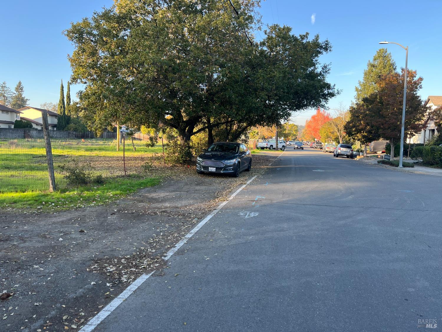 1055 Wright Street Santa Rosa, CA 95404 - Photo 20 of 20 a view of a park with large trees