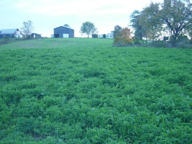 0 Haley Ridge Road Brooksville, KY 41004 - Photo 11 of 15 Gallery Image 11